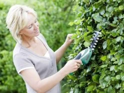 Cisaille à Batterie Pour Pelouse Bosch ISIO3 - Lame Gazon Et Lame Haies 33 Cisaille à Batterie Pour Pelouse Bosch ISIO3 - Lame Gazon Et Lame Haies -Motofaucheuse Soldes cisaille batterie pour pelouse bosch isio3 lame gazon et lame haies caractristiques principales 30008 2 1624279026 IMG 60d087f238738