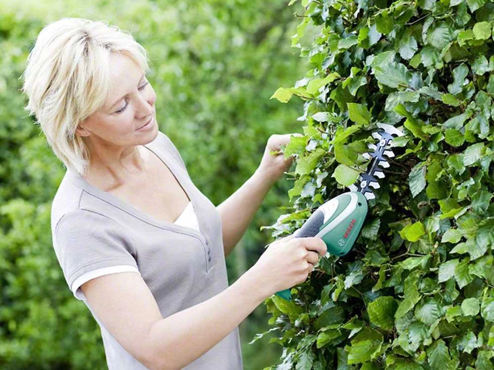 Cisaille à Batterie Pour Pelouse Bosch ISIO3 - Lame Gazon Et Lame Haies 14 Cisaille à Batterie Pour Pelouse Bosch ISIO3 - Lame Gazon Et Lame Haies – Image 12