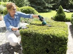 Cisaille à Batterie Pour Pelouse Bosch ISIO3 - Lame Gazon Et Lame Haies 27 Cisaille à Batterie Pour Pelouse Bosch ISIO3 - Lame Gazon Et Lame Haies -Motofaucheuse Soldes cisaille batterie pour pelouse bosch isio3 lame gazon et lame haies cisaille batterie bosch isio3 30008 1 1624277753 IMG 60d082f906192