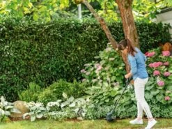 Coupe-bordures électrique Bosch EasyGrassCut 26 - Moteur De 280W - Diamètre De Coupe 26 Cm