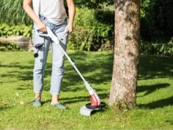 Coupe-bordures électrique IKRA IGT 600 DA Avec Moteur Monophasé De 600 Watts 29 Coupe-bordures électrique IKRA IGT 600 DA Avec Moteur Monophasé De 600 Watts -Motofaucheuse Soldes coupe bordures lectrique ikra igt 600 da avec moteur monophas de 600 watts dbroussailleuse lectrique ikra igt 600 da 18684 5 1573803324 71zdn1I7B6L. AC SL1000