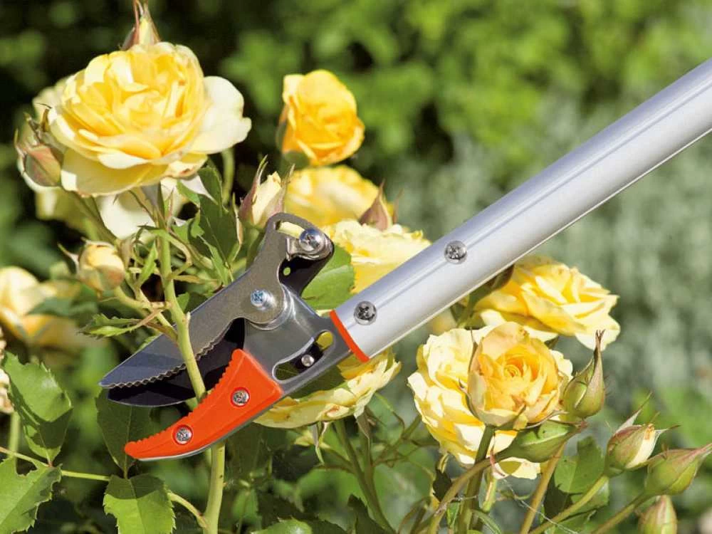 Motofaucheuse Soldes -Motofaucheuse Soldes coupe branche de taille stocker art 600 cut hold 60 cm trs pratique pour la taille des roses coupe branches scateur stocker art 600 cut hold 15444 0 1548257719 600 601 A 161209