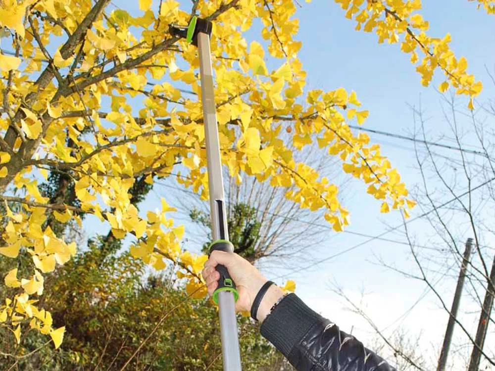 Coupe-branches De Taille Manuel Verdemax - Perche Fixe 150 Cm - Ø 25 Mm 5 Coupe-branches De Taille Manuel Verdemax - Perche Fixe 150 Cm - Ø 25 Mm – Image 3