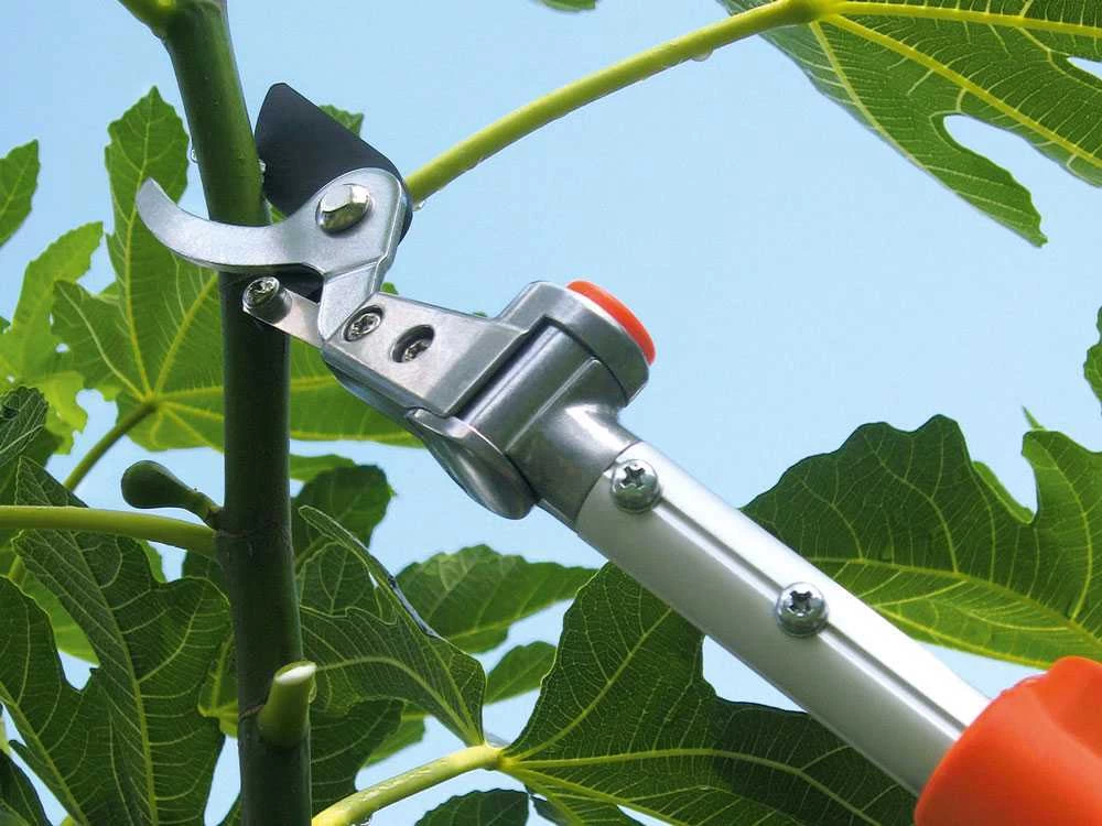 Coupe-branches De Taille Stocker Art. 604 Télescopique 180-300 Cm - Poignée Et Tête Orientable 4 Coupe-branches De Taille Stocker Art. 604 Télescopique 180-300 Cm - Poignée Et Tête Orientable – Image 2