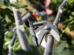 Coupe-branches Professionnel Stocker Art. 609 Sur Perche Fixe De 220 Cm - Ø 35mm 34 Coupe-branches Professionnel Stocker Art. 609 Sur Perche Fixe De 220 Cm - Ø 35mm -Motofaucheuse Soldes coupe branches professionnel stocker art 609 sur perche fixe de 220 cm 35mm tte de coupe inclinable 15380 1 1547811122 vvv