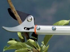 Coupe-branches Stocker Art. 505 Sur Perche Fixe De 200 Cm - Ø 10mm - Coupe Orientable 33 Coupe-branches Stocker Art. 505 Sur Perche Fixe De 200 Cm - Ø 10mm - Coupe Orientable -Motofaucheuse Soldes coupe branches stocker art 505 sur perche fixe de 200 cm 10mm coupe orientable coupe branches scateur sur perche orientable 200 cm stocker art 505 15421 0 1548229705 zz