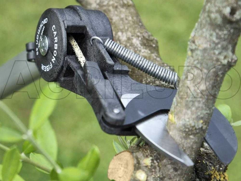 Coupe-branches Télescopique Professionnel Archman Helium MT.2 - Perche 170/270 Cm - Ø 35 Mm 5 Coupe-branches Télescopique Professionnel Archman Helium MT.2 - Perche 170/270 Cm - Ø 35 Mm – Image 3