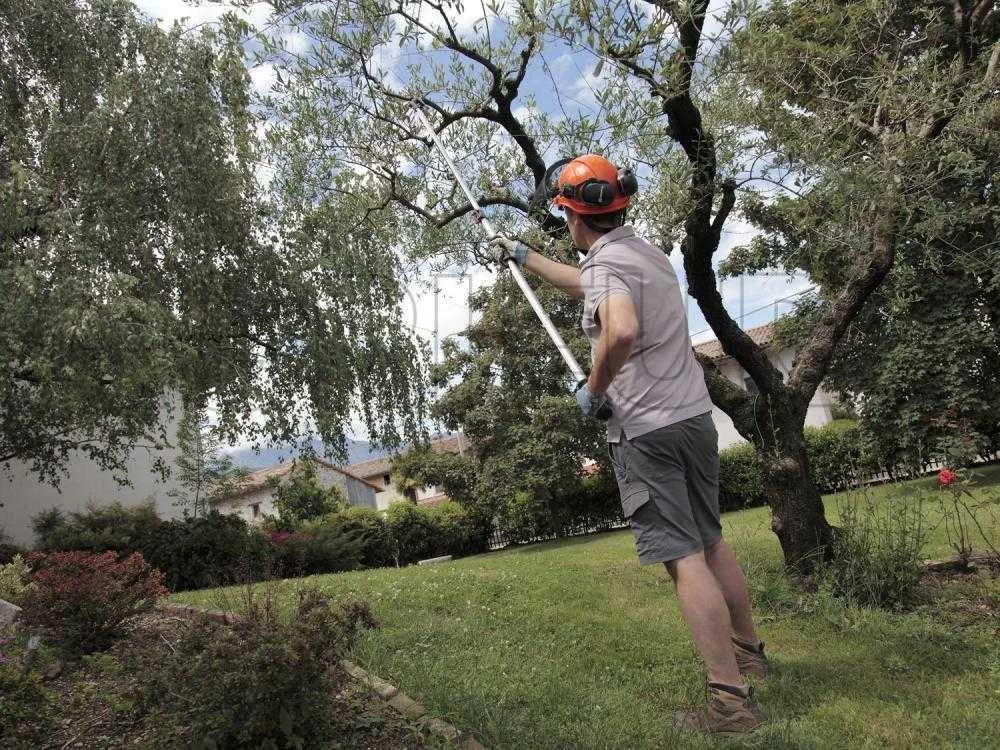 Coupe-branches Télescopique Professionnel Archman Helium MT.2 - Perche 170/270 Cm - Ø 35 Mm 4 Coupe-branches Télescopique Professionnel Archman Helium MT.2 - Perche 170/270 Cm - Ø 35 Mm – Image 2