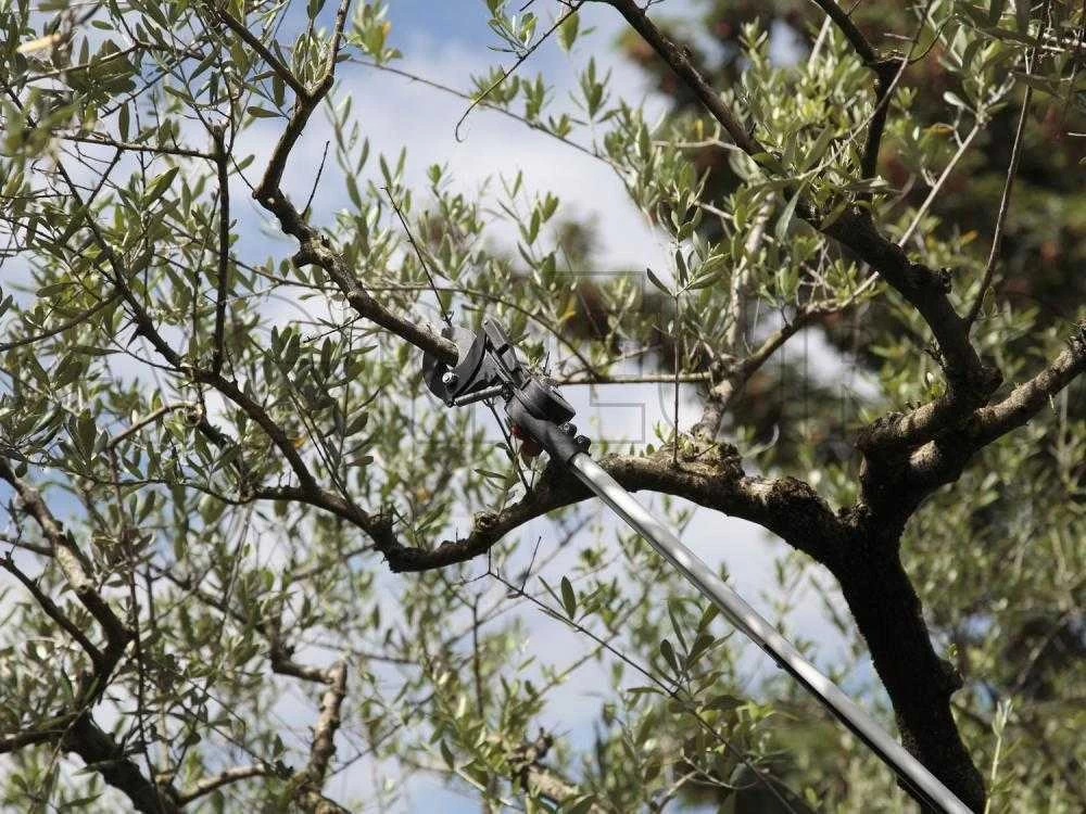 Coupe-branches Télescopique Professionnel Archman Helium MT.2 - Perche 170/270 Cm - Ø 35 Mm 14 Coupe-branches Télescopique Professionnel Archman Helium MT.2 - Perche 170/270 Cm - Ø 35 Mm – Image 12