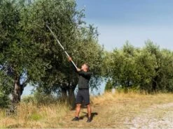 Coupe-branches Télescopique Professionnel Stocker Art. 606 - Perche 170/280 Cm - Ø 35mm 33 Coupe-branches Télescopique Professionnel Stocker Art. 606 - Perche 170/280 Cm - Ø 35mm -Motofaucheuse Soldes coupe branches tlescopique professionnel stocker art 606 perche 170 280 cm 35mm coupe branches scateur sur perche tlescopique stocker 606 15370 0 1547736570 ff