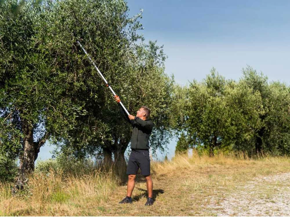 Coupe-branches Télescopique Professionnel Stocker Art. 606 - Perche 170/280 Cm - Ø 35mm 14 Coupe-branches Télescopique Professionnel Stocker Art. 606 - Perche 170/280 Cm - Ø 35mm – Image 12