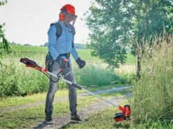 Débroussailleuse à Batterie Einhell AGILLO 18/200 - BATTERIE ET CHARGEUR NON INCLUS 24 Débroussailleuse à Batterie Einhell AGILLO 18/200 - BATTERIE ET CHARGEUR NON INCLUS -Motofaucheuse Soldes dbroussailleuse batterie einhell agillo 18 200 batterie et chargeur non inclus dbroussailleuses batterie einhell agillo 29221 1 1621429039 IMG 60a50b2fabbca