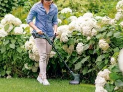 Débroussailleuse Coupe-bordures à Batterie Bosch EasyGrassCut 18-230 - Batterie De 18V/2Ah 24 Débroussailleuse Coupe-bordures à Batterie Bosch EasyGrassCut 18-230 - Batterie De 18V/2Ah -Motofaucheuse Soldes dbroussailleuse coupe bordures batterie bosch easygrasscut 18 230 batterie de 18v 2ah dbroussailleuse batterie bosch easygrasscut 18 230 29953 15 1623937072 IMG 60cb50303c1a6