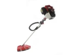 Débroussailleuse à Essence 4 Temps Moteur Honda GX 50 Avec Poignée Circulaire - Bluebird 25 Débroussailleuse à Essence 4 Temps Moteur Honda GX 50 Avec Poignée Circulaire - Bluebird -Motofaucheuse Soldes dbroussailleuse essence 4 temps moteur honda gx 50 avec poigne circulaire bluebird la dbroussailleuse honda gx 50 21617 6 1689330332 IMG 64b1229cd6dae