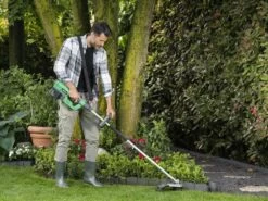 Débroussailleuse électrique à Batterie Ribimex PRBAT20-DEBTSB De 40V - Batteries 2x20V 4Ah 38 Débroussailleuse électrique à Batterie Ribimex PRBAT20-DEBTSB De 40V - Batteries 2x20V 4Ah -Motofaucheuse Soldes dbroussailleuse lectrique batterie ribimex prbat20 debtsb de 40v batteries 2x20v 4ah moteur lectrique batterie 36341 4 1661513770 IMG 6308b02ad0858