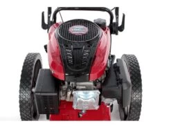 Débroussailleuse Manuelle à Roues GeoTech DG 58 F - Moteur à Essence Loncin 196 Cm3 - Faucheuse -Motofaucheuse Soldes dbroussailleuse manuelle roues geotech dg 58 f moteur essence loncin 196 cm3 faucheuse moteur loncin de 196 cm3 13120 1 1525336079 IMG 2619