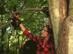 Élagueuse Manuelle à Batterie Worx WG324E 20 V 2 Ah 24 Élagueuse Manuelle à Batterie Worx WG324E 20 V 2 Ah -Motofaucheuse Soldes lagueuse manuelle batterie worx wg324e 20 v 2 ah lagueuse manuelle batterie worx wg324e 27854 0 1617026837 IMG 6061df158441e