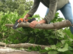 Élagueuse Manuelle à Batterie Worx WG324E 20 V 2 Ah 25 Élagueuse Manuelle à Batterie Worx WG324E 20 V 2 Ah -Motofaucheuse Soldes lagueuse manuelle batterie worx wg324e 20 v 2 ah lagueuse manuelle batterie worx wg324e 27854 0 1617026837 IMG 6061df1589704