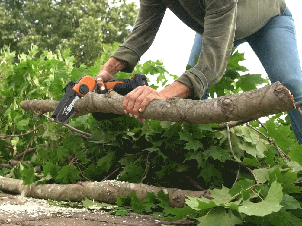 Élagueuse Manuelle à Batterie Worx WG324E 20 V 2 Ah 6 Élagueuse Manuelle à Batterie Worx WG324E 20 V 2 Ah – Image 4