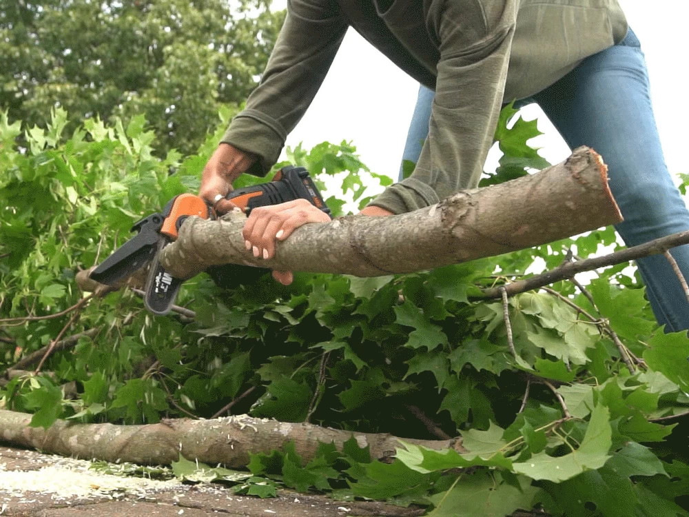 Élagueuse Manuelle à Batterie Worx WG324E 20 V 2 Ah 7 Élagueuse Manuelle à Batterie Worx WG324E 20 V 2 Ah – Image 5