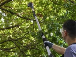 Élagueuse Sur Perche Télescopique à Batterie Multifonction Alpina AMT 20 Li - Batterie 20V 4Ah 26 Élagueuse Sur Perche Télescopique à Batterie Multifonction Alpina AMT 20 Li - Batterie 20V 4Ah -Motofaucheuse Soldes lagueuse sur perche tlescopique batterie multifonction alpina amt 20 li batterie 20v 4ah elagueuse tlescopique batterie alpina amt 20 li kit 26886 5 1611761927 IMG 6011890762a37