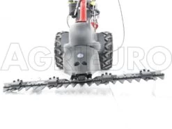 Motofaucheuse Autotractée Eurosystems P70 EVO Moteur B&S 850E I/C - Faucheuse Thermique 40 Motofaucheuse Autotractée Eurosystems P70 EVO Moteur B&S 850E I/C - Faucheuse Thermique -Motofaucheuse Soldes motofaucheuse autotracte eurosystems p70 evo moteur b s 850e i c faucheuse thermique barre de coupe de type basculante 7159 9 1427903951 IMG 4245