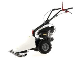 Motofaucheuse Eurosystems GMP 210 H - Moteur Honda GCVx 170 Avec Barre 87 Cm Bilame 34 Motofaucheuse Eurosystems GMP 210 H - Moteur Honda GCVx 170 Avec Barre 87 Cm Bilame -Motofaucheuse Soldes motofaucheuse eurosystems gmp 210 h moteur honda gcvx 170 avec barre 87 cm bilame motofaucheuse eurosystems gmp 210 h 24870 5 1597755268 IMG 5f3bcf84ed4be