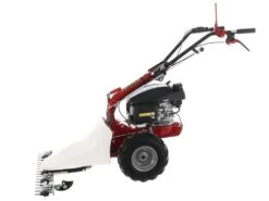 Motofaucheuse Multifonction Eurosystems P55 - Moteur Thermique à Essence Honda GCVX 170 26 Motofaucheuse Multifonction Eurosystems P55 - Moteur Thermique à Essence Honda GCVX 170 -Motofaucheuse Soldes motofaucheuse multifonction eurosystems p55 moteur thermique essence honda gcvx 170 motofaucheuse p55 thermique eurosystems motorise honda gcvx 170 24137 0 1593428059 IMG 5ef9c85b27241