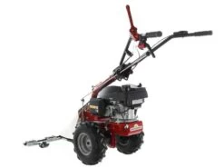 Motofaucheuse Multifonction Eurosystems P55 - Moteur Thermique à Essence Honda GCVX 170 34 Motofaucheuse Multifonction Eurosystems P55 - Moteur Thermique à Essence Honda GCVX 170 -Motofaucheuse Soldes motofaucheuse multifonction eurosystems p55 moteur thermique essence honda gcvx 170 motofaucheuse p55 thermique eurosystems motorise honda gcvx 170 24137 0 1593428059 IMG 5ef9c85be7e22