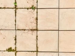 Nettoyeur De Joint à Batterie RYOBI RY18PCA-0 - 18V - SANS BATTERIE SANS CHARGEUR -Motofaucheuse Soldes nettoyeur de joint batterie ryobi ry18pca 0 18v sans batterie sans chargeur moteur lectrique et batterie 29411 3 1621931204 IMG 60acb4c4324c0