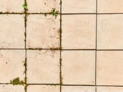 Nettoyeur De Joints à Batterie RYOBI RY18PCA-120 - 18V - 2Ah 29 Nettoyeur De Joints à Batterie RYOBI RY18PCA-120 - 18V - 2Ah -Motofaucheuse Soldes nettoyeur de joints batterie ryobi ry18pca 120 18v 2ah moteur lectrique et batterie 29229 14 1621498197 IMG 60a619558abd5