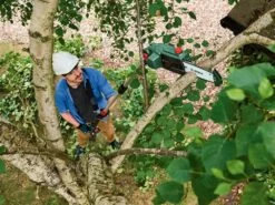 Perche D'élagage à Batterie Sur Perche Téléscopique BOSCH UniversalChainPole 18V 31 Perche D'élagage à Batterie Sur Perche Téléscopique BOSCH UniversalChainPole 18V -Motofaucheuse Soldes perche d lagage batterie sur perche tlscopique bosch universalchainpole 18v perche d lagage batterie sur perche tlscopique bosch 17659 0 1565946840 81nZReYjhBL. SL1200