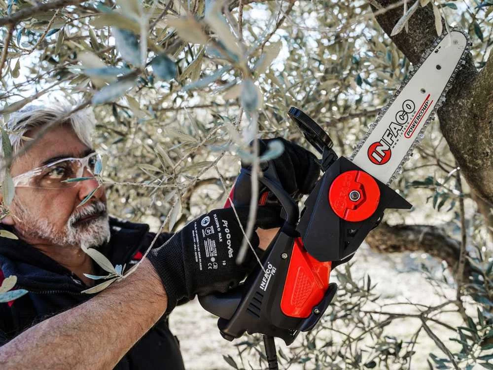 Perche élagueuse à Batterie Fixe De 93 Cm Infaco TR9 - Batterie à Dos Incluse 20 Perche élagueuse à Batterie Fixe De 93 Cm Infaco TR9 - Batterie à Dos Incluse – Image 18