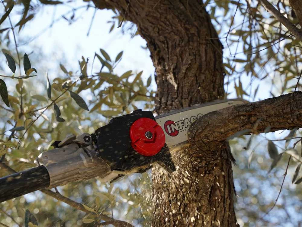 Perche élagueuse à Batterie Fixe De 93 Cm Infaco TR9 - Batterie à Dos Incluse 22 Perche élagueuse à Batterie Fixe De 93 Cm Infaco TR9 - Batterie à Dos Incluse – Image 20