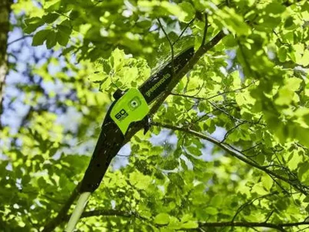 Perche élagueuse à Batterie Greenworks GD60PS25 60V - SANS BATTERIE NI CHARGEUR 20 Perche élagueuse à Batterie Greenworks GD60PS25 60V - SANS BATTERIE NI CHARGEUR – Image 18