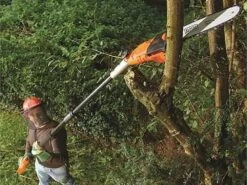 Perche élagueuse Télescopique Sur Rallonge Réglable Black & Decker PS7525-QS