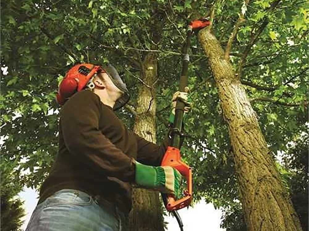 Perche élagueuse Télescopique Sur Rallonge Réglable Black & Decker PS7525-QS 4 Perche élagueuse Télescopique Sur Rallonge Réglable Black & Decker PS7525-QS – Image 2