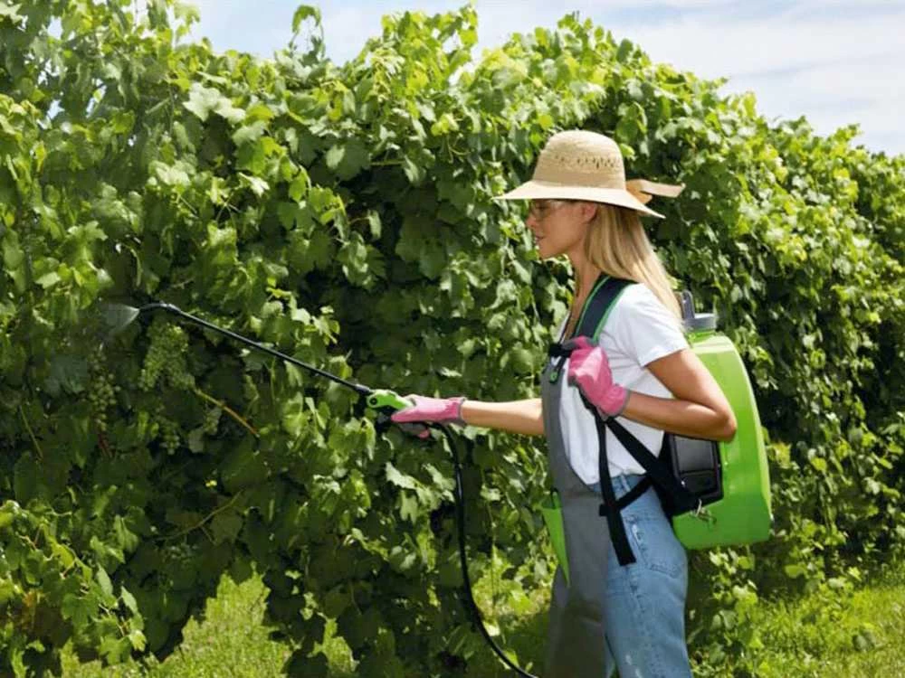 Pulvérisateur à Batterie à Dos Verdemax FUTURA 16L Batterie Au Lithium 12V 2.5Ah 4 Pulvérisateur à Batterie à Dos Verdemax FUTURA 16L Batterie Au Lithium 12V 2.5Ah – Image 2