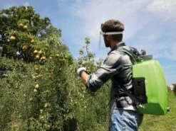 Pulvérisateur à Batterie à Dos Verdemax FUTURA PRO 16L Batterie Au Lithium 18V 2.5Ah 24 Pulvérisateur à Batterie à Dos Verdemax FUTURA PRO 16L Batterie Au Lithium 18V 2.5Ah -Motofaucheuse Soldes pulvrisateur batterie dos verdemax futura pro 16l batterie au lithium 18v 2 5ah pulvrisateur dos batterie verdemax futura pro 16l 29749 1 1623234693 IMG 60c09885d0ad0