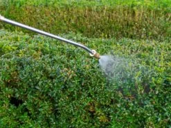 Pulvérisateur Porté à Batterie Batavia BT-GS001 - 18V - SANS BATTERIE NI CHARGEUR 31 Pulvérisateur Porté à Batterie Batavia BT-GS001 - 18V - SANS BATTERIE NI CHARGEUR -Motofaucheuse Soldes pulvrisateur port batterie batavia bt gs001 18v sans batterie ni chargeur caractristiques principales 38625 2 1669795586 IMG 63870f0286be8