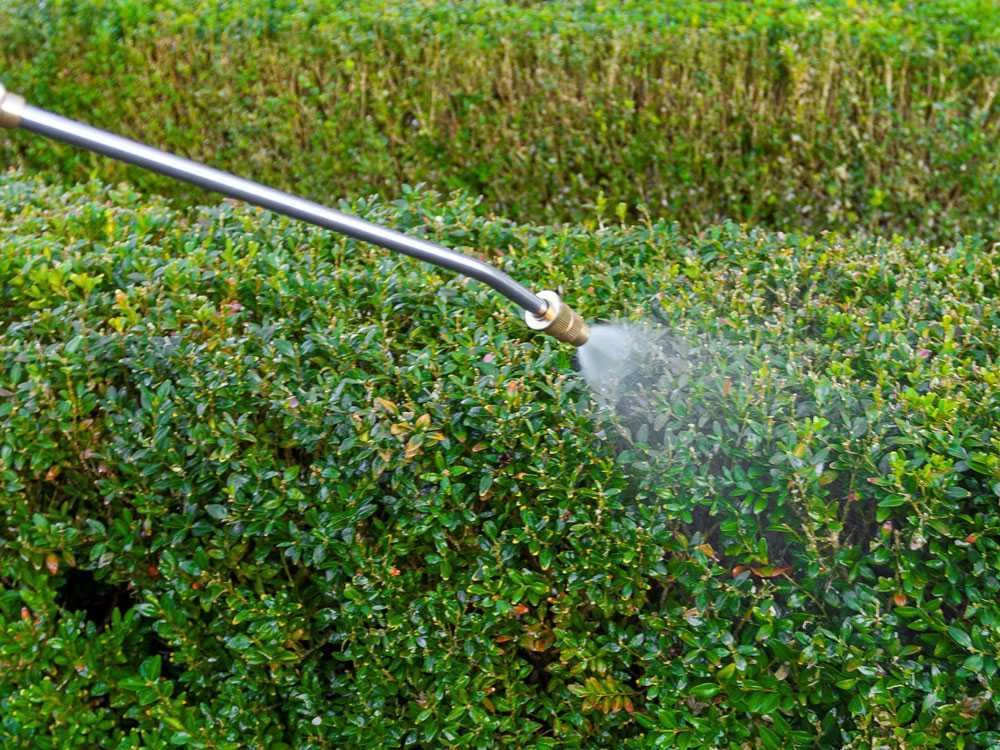 Pulvérisateur Porté à Batterie Batavia BT-GS001 - 18V - SANS BATTERIE NI CHARGEUR 12 Pulvérisateur Porté à Batterie Batavia BT-GS001 - 18V - SANS BATTERIE NI CHARGEUR – Image 10