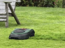 Robot Tondeuse Bosch Indego XS 300 - Robot Tondeuse Avec Batterie Lithium 18 V 39 Robot Tondeuse Bosch Indego XS 300 - Robot Tondeuse Avec Batterie Lithium 18 V -Motofaucheuse Soldes robot tondeuse bosch indego xs 300 robot tondeuse avec batterie lithium 18 v l intelligence du robot bosch 44533 41 1696240818 IMG 651a94b25ed5e