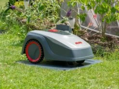 Robot Tondeuse Robolinho AL-KO 500 E - Tondeuse Avec Câble Périmétrique 39 Robot Tondeuse Robolinho AL-KO 500 E - Tondeuse Avec Câble Périmétrique -Motofaucheuse Soldes robot tondeuse robolinho al ko 500 e tondeuse avec cble primtrique usage et installation 28176 28 1617973119 IMG 60704f7f4ec90