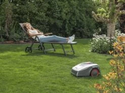 Robot Tondeuse Robolinho AL-KO 800 W - Tondeuse Avec Câble Périmétrique 23 Robot Tondeuse Robolinho AL-KO 800 W - Tondeuse Avec Câble Périmétrique -Motofaucheuse Soldes robot tondeuse robolinho al ko 800 w tondeuse avec cble primtrique robot tondeuse robolinho al ko 800 w 28614 42 1619441783 IMG 6086b8778bb39