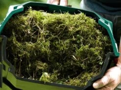 Scarificateur électrique BOSCH Universal Rake 900 - 900 W - Largeur De Coupe 32 Cm 38 Scarificateur électrique BOSCH Universal Rake 900 - 900 W - Largeur De Coupe 32 Cm -Motofaucheuse Soldes scarificateur lectrique bosch universal rake 900 900 w largeur de coupe 32 cm caractristiques gnrales 29649 3 1622812260 IMG 60ba2664da1dd