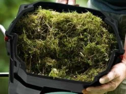 Scarificateur électrique à Lames BOSCH Universal Verticut 1100 - 1100 W - 32 Cm - Jet Collect - Bac -Motofaucheuse Soldes scarificateur lectrique lames bosch universal verticut 1100 1100 w 32 cm jet collect bac rotor lames et rglage de la profondeur de coupe 29857 1 1623762347 IMG 60c8a5ab28781