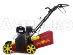 Wolf-Garten Scarificateur Thermique WOLF Garten VA 357 B - Moteur B&S Série 550 -Motofaucheuse Soldes scarificateur thermique wolf garten va 357 b moteur b s srie 550 scarificateur wolf garten va 357 b 8349 0 1457366561 100173 Ariegg Ambition V 357 B 00027