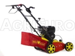 Wolf-Garten Scarificateur Thermique WOLF Garten VA 357 B - Moteur B&S Série 550 -Motofaucheuse Soldes scarificateur thermique wolf garten va 357 b moteur b s srie 550 scarificateur wolf garten va 357 b 8349 0 1457366561 100173 Ariegg Ambition V 357 B 00029
