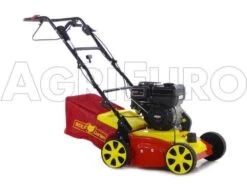 Wolf-Garten Scarificateur Thermique WOLF Garten VA 357 B - Moteur B&S Série 550 -Motofaucheuse Soldes scarificateur thermique wolf garten va 357 b moteur b s srie 550 scarificateur wolf garten va 357 b 8349 0 1457366561 100173 Ariegg Ambition V 357 B 00031