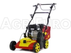 Wolf-Garten Scarificateur Thermique WOLF Garten VA 357 B - Moteur B&S Série 550 -Motofaucheuse Soldes scarificateur thermique wolf garten va 357 b moteur b s srie 550 scarificateur wolf garten va 357 b 8349 0 1457366561 100173 Ariegg Ambition V 357 B 00034